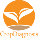 CropDiagnosis