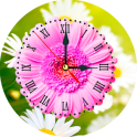 Daisy Clock Live Wallpaper