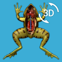 Visual Anatomy 3D - Frog