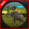Real Elephant Hunting