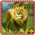 Wild Angry Lion Revenge Sim 3D