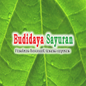 Hortikultura Budidaya Sayuran
