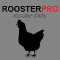 Rooster Calls UK