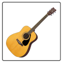 AfinaLou Acoustic Guitar Tuner