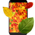 Осенние листья 3D живые обои