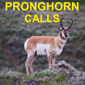 Pronghorn Hunting Calls