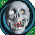 Magic Skull 3D