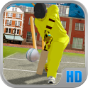 Real Street Cricket Cup 2017
