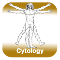 Anatomy - Cytology