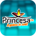 Princesa 93 Fm