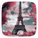 Love Pink Paris Theme