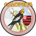 CALOPSITA - FLA