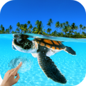 Turtle Underwater 3D Wallpaper