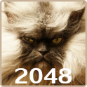 20 48 Cats Puzzle