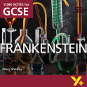 Frankenstein GCSE 9-1