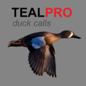 Teal Calls for Hunting AU