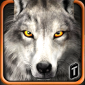Wolf Life Simulation 2017