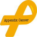 Appendix cancer