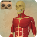 Anatomía VR