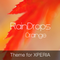 RainDrops Premium Orange Theme