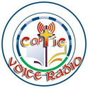 Copt4G Coptic Voice Radio