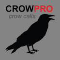 REAL Crow Calls + Crow Sounds