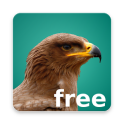 Happy Birding Journal - (FREE)