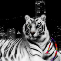 White Tiger Xperien Theme