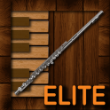 Professional Flute Elite