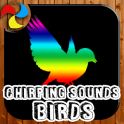 Chirping Sound Of Birds