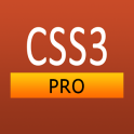 CSS3 Pro Quick Guide