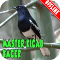 Master Kicau Kacer MP3