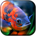 Aquarium 3D Fond d'écran vidéo