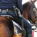 City Police Horse Training