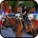 полиция лошадь криминал город