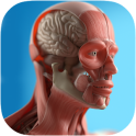 Das Anatomie Spiel Anatomicus