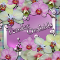 Нежные Орхидеи Го Лаунчер