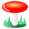 Funghi italiani