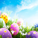Happy Easter HD Wallpapers