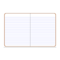 Notebook (cuaderno)