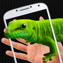 Lizard on phone funny prank