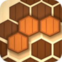 Wooden Hexa Puzzle
