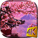 Sakura Plano fundo interativo
