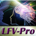 LFV Day-Planner Pro