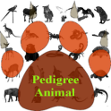 Pedigree of the Animal (D)