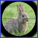 토끼 사냥꾼 Rabbit Hunter