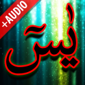 Surah Yaseen + Audio (Offline)