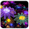 HD Colorful Flower Wallpaper