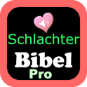 Audio Schlachter Bibel Pro