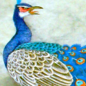 free peacock wallpaper